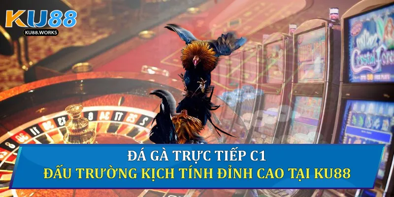 Đá Gà Trực Tiếp C1 - Đấu Trường Kịch Tính Đỉnh Cao Tại Ku88 Đá gà trực tiếp C1