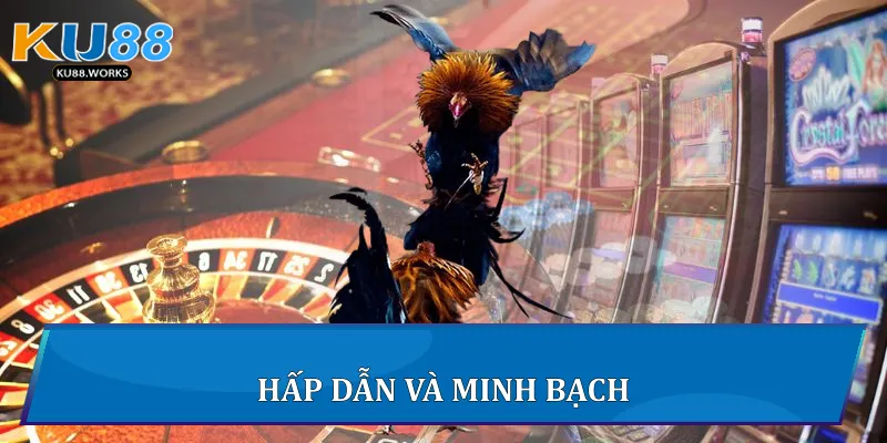 Đá Gà Đòn Trực Tiếp Trải Nghiệm Đỉnh Cao Đá Gà Tại Ku88 Hấp dẫn và minh bạch