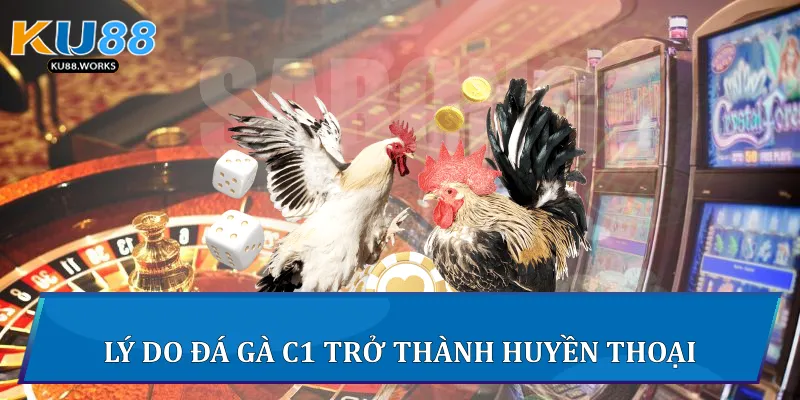 Đá Gà Trực Tiếp C1 - Đấu Trường Kịch Tính Đỉnh Cao Tại Ku88 Lý do đá gà C1 trở thành huyền thoại